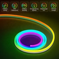 Guirlandes lumineuses LED néon tressées 5V, alimentées par USB/WiFi, contrôlées par application, indice de protection IP65, 30 LED/m, synchronisation musicale, matériau en peluche enveloppé, festivals