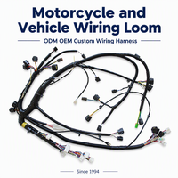 Produsen Kabel Harness Wiring HarnessODM OEM 	   Produsen Perakitan Kabel Kawat untuk Sepeda Motor dan Kendaraan