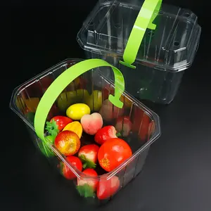 Plastic Rpet/Huisdier Clamshell Fruit Container Aardbei Plastic Fruit Container Pet Blister
