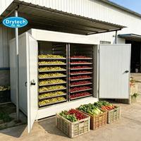 Nouvelle machine de déshydratation de fruits et d'herbes
