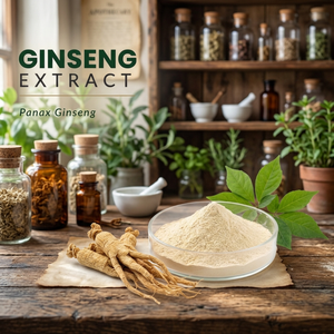 Extracto Herbal de Panax Ginseng en Polvo (60% Ginsenosidos) Probado por HPLC en Envase de Vidrio, Suplemento Dietético de Grado Alimenticio - Product Image 3