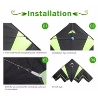 Printemps Sport de plein air Enfants Easy Fly Handheld Wings Fluttering Fishing Eagle Swallow Kites
