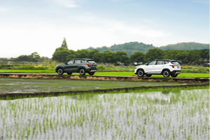 2024 Kia Seltos 1.5L SUV en venta Volante a la izquierda 2WD Techo solar panorámico Gas/Gasolina y opciones de combustible eléctrico - Product Image 6