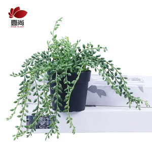 DIY China High quality cheap mini small Office desktop plastic bulk flower pots ES1183-1