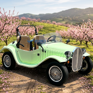 XCEGO Voiture Électrique Miniature 2 Places Super Cool Chinoise, Modèle Rétro Classique à 4 Roues pour Adultes et Enfants, Idéale pour le Tourisme - Vente Chaude - Product Image 3