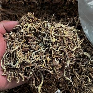 गर्म बिक्री बारीक प्रसंस्कृत सूखे मछली खाद्य मिट्टी के कीड़े - Product Image 5