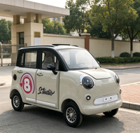 Mini voiture électrique 4 places à basse vitesse, 1000W, 4 roues, batterie au plomb 60V58a, dimensions 2.80*1.35*1.65m, vente en gros Chine, prix compétitif
