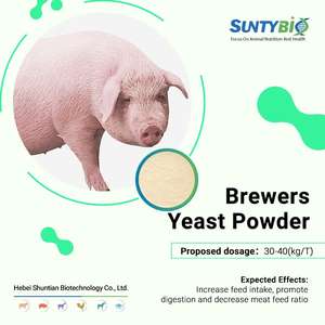 Additifs alimentaires à haute teneur en protéines/Levure d'alimentation animale/Poudre de levure de bière - Product Image 5