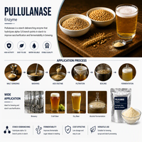 Enzyme Pullulanase pour la production de sirop de maltose à haute concentration dans l'industrie de la transformation de l'amidon