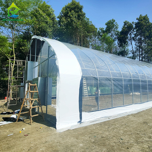 La Chine usine simple portée faible Tunnel <span class=keywords><strong>agricole</strong></span> Film plastique Polytunnel grandir tente en plastique <span class=keywords><strong>hangar</strong></span> serre à <span class=keywords><strong>vendre</strong></span> - Product Image 5