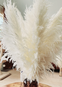 A-2 3 Tiges <span class=keywords><strong>Grand</strong></span> BLANC <span class=keywords><strong>PAMPAS</strong></span> HERBE 3-4ft <span class=keywords><strong>Grand</strong></span> Vente Fleurs Sèches Décor À La Maison Boho Décor De Mariage Floral Décor | Bouquet De Pampa - Product Image 3