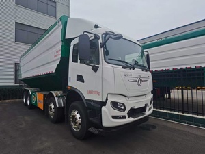 Camion de transport de granulés diesel 6x4 avec benne basculante, utilisé pour la livraison de céréales et d'aliments pour volailles, camion-citerne à silo pour poudre - Product Image 3
