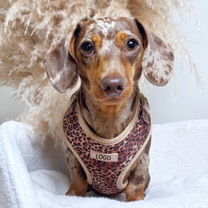 2025 Popular Cute Bowtie with Poop Bag Eco-Friendly Polyester Floral Pattern Pet <strong>Collar</strong> and <strong>Lead</strong> Soft Velvet <strong>Dog</strong> Harness - Product Image 1