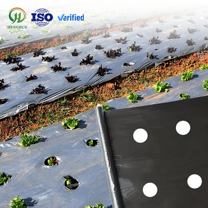 Phim phủ nông nghiệp màu đen bạc/đen, chống ẩm, chống cỏ, có lỗ, chất liệu nhựa mềm, dùng cho cây ăn quả, kích thước 2', 3', 4', 6', 8' - Product Image 1