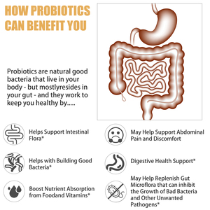Cápsulas de Prebióticos y Enzimas Digestivas a Buen Precio, Apoyan la Flora Intestinal, Cápsulas de Complejo Probiótico, Nutren el Estómago - Product Image 4