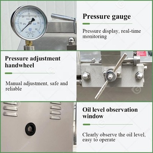 Homogeneizador De Leche Láctea De Frutas Miel 30l 100l Pistón Máquina De Pequeña Escala Homogeneizador De Alta Presion - Product Image 5
