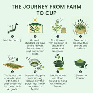 Matcha Japonés Uji Premium en Polvo, Grado Ceremonial para la Ceremonia Tradicional del Té, Té Verde Orgánico en Polvo de Kioto, Japón - Product Image 4