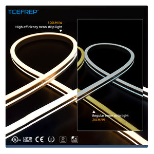 LED de Neón Flexible de 1100LM/M, Emisión Lateral, 10*18mm, 24V, IP67, para Iluminación de Contornos de Fachadas - Product Image 1