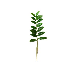 <span class=keywords><strong>Prix</strong></span> de gros bon marché <span class=keywords><strong>Eucalyptus</strong></span> artificiel <span class=keywords><strong>arbre</strong></span> d'argent avec tige à feuille unique Zamiifolia pour la maison mariage décorations de Noël - Product Image 4