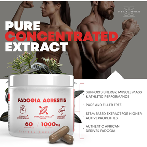 Cápsulas de Fadogia Agrestis de Alta Potência 1000mg, Fórmula Vegana para Suporte de Energia e Força Muscular - Product Image 2