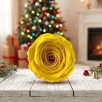 HFlora Fleurs - Roses éternelles naturelles au toucher réel DIY, OEM, Fête des Mères, Fête des Pères, Noël, Têtes de roses préservées de 6-7 cm