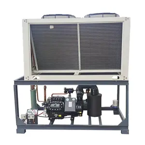 Industrial Piston Oil Free Compressor Air-cooled Silent Chiller Price R22 Refrigeration 15HP Piston Condensing Unit for Copeland