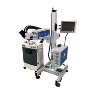 Machine de marquage laser CO2 en vol avec positionnement visuel pour ligne de production, automatique, haute vitesse, pour usage industriel