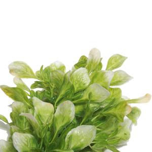 Kunstplanten Faux Plastic Tarwe Gras Bladeren Struiken Simulatie Greenery Blad Struiken Indoor Buiten Huis Tuin Decor - Product Image 5