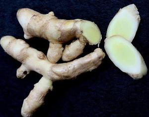 Rhizomes de gingembre mangue de première qualité, cueillis à la main, avec un arôme frais de mangue verte, pour usage culinaire et herbal - Product Image 3