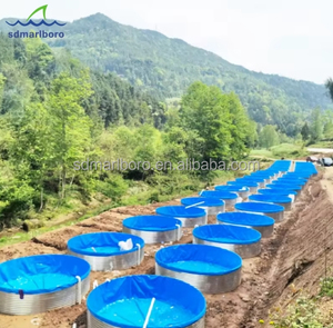 Para Tilapia Farmed na Arábia Saudita China Produz Tanque Circular Especial - Product Image 5