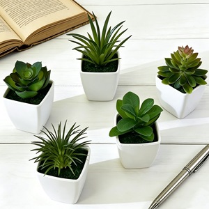 Plante succulente artificielle en pot carré, mini plante en pot, verdure pour la décoration de la maison, du bureau ou du bureau à domicile, ornement de plante d'intérieur en plastique - Product Image 1