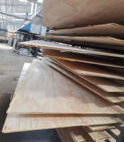 Pine Wood Timber 18mm 3/4 CDX Pine Plywood Sheet for Roofing Structural & Outdoor Wall Exterior