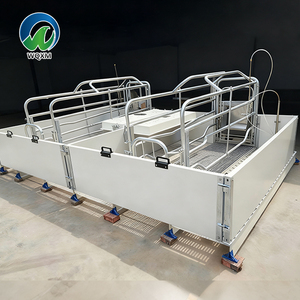 Attrezzatura per Allevamento Suino Stile Europeo Gabbia per Scrofe e Cassa da Parto in Plastica e Acciaio Resistente Nuova o Usata per Suini - Product Image 1