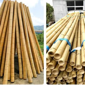 6mm-60mm Natural Bamboo Pole Solid Yellow Bamboo Pole for Fence
