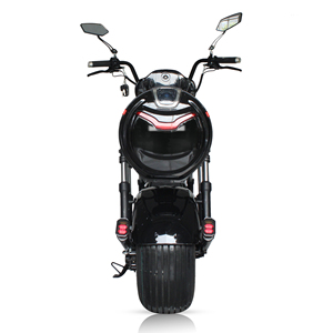 Scooter tout-terrain H4, livraison gratuite en Hollande - Product Image 4
