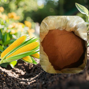Acides fulviques écologiques Hormones végétales auxines en poudre Pureté 100% pour les fruits - Product Image 1