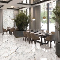 Carreaux de Sol Maison Grand Format de Luxe Marbre de Foshan pour Salon, 60x120, en Porcelaine Émaillée