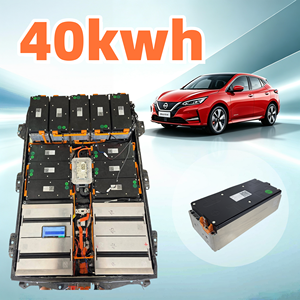 Kit de Reemplazo de Batería de Iones de Litio para <span class=keywords><strong>Nissan</strong></span> <span class=keywords><strong>Leaf</strong></span>, Módulo de Batería 6S1P de 30kWh, 40kWh, 53kWh, 62kWh, 64kWh, 114Ah con Actualización - Product Image 1