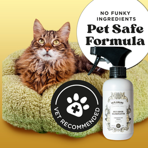 Perfume en Aerosol para Mascotas <span class=keywords><strong>con</strong></span> Fragancia Cítrica de Larga Duración para Perros y Gatos, Eliminador de Olores, Directo de Fábrica - Product Image 2