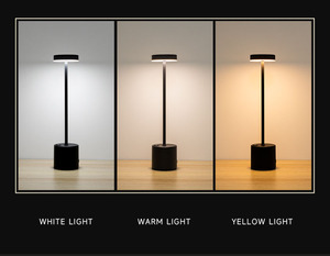 Nordic Simple Modern Metal Flexible Battery-Powered Desk <strong>Lamp</strong> <strong>Charge</strong> and Plug Dual Purpose Bedroom Ambiance <strong>Lamp</strong> - Product Image 5