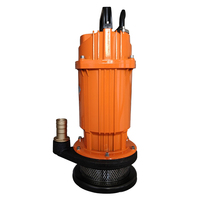 Pompe à eau électrique submersible portable haute pression OEM QDX1.5-25-0.55 550W 220V pour l'irrigation agricole