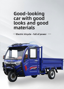 Convertible Carry & Ride Vehicle - Product Image 3