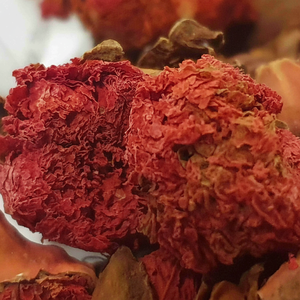 Flores Secas de Granada 2026 al por Mayor, Mejor Calidad, Precio Bajo, Tipo de Almacenamiento en Frío, Flores Secas de Granada con Fragancia Natural - Product Image 1