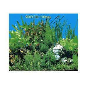 貝殻 サンゴ 海水族館 アクセサリー ワールドアクアリウム 背景 アクアリウム絵画 絵画 - Product Image 1