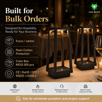 Lanterne de table LED sans fil rechargeable, flexible, simple, à courant continu réglable, à économie d'énergie, pour restaurant, hôtel, terrasse, patio