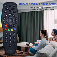 Télécommande en gros d'usine pour toutes les boîtes Sky Q, pour Sky Q TV Box / Mini Box / Silver Box (non tactile, pas de voix)