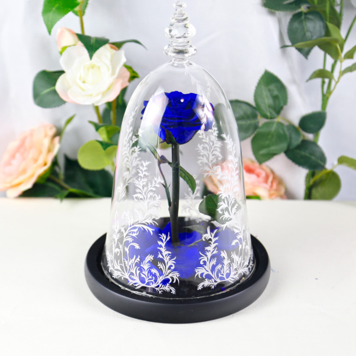 Bleu foncé