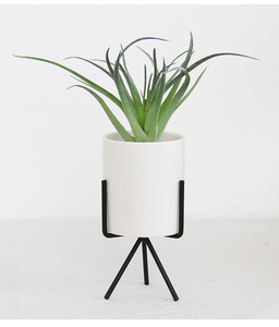 Cadre en fer simple porte-fleurs en céramique hydroponique plante verte Ins Style nordique en fer forgé charnu <span class=keywords><strong>Pot</strong></span> de fleur - Product Image 6