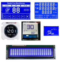 Modul LCD Panel Backlight Kustom COG Modul Tampilan Tersegmentasi HTN Latar Belakang Biru Teks Tersegmentasi Tampilan LCD Digital
