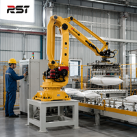 Moteur de boîte de vitesses pour machine de palettisation robotisée automatique pour sacs, cartons, boîtes, contrôle PLC, haute capacité 800 fois/heure, personnalisé